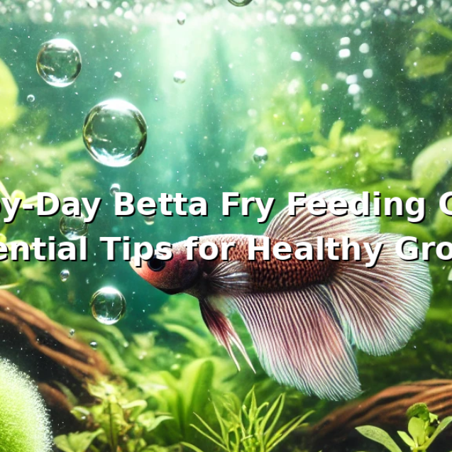 Betta_Fry_Feeding_Guide_Featured_Image_Two_Lines_16_9